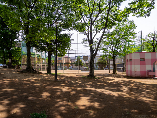 画像を別ウィンドウで表示します 画像
