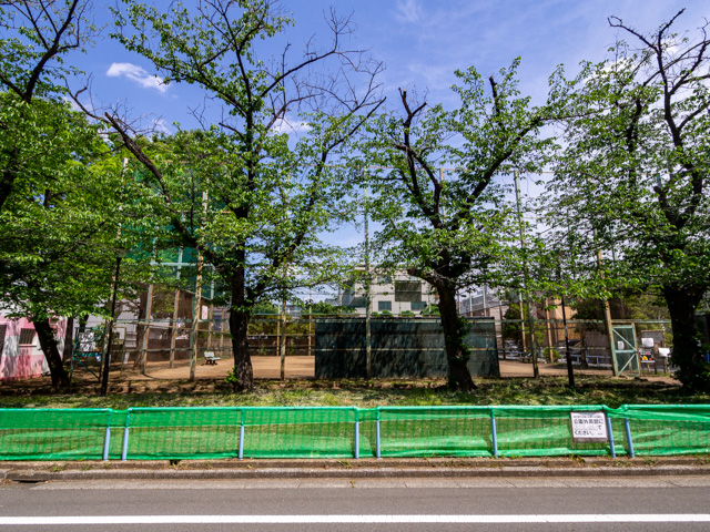 画像を別ウィンドウで表示します 画像