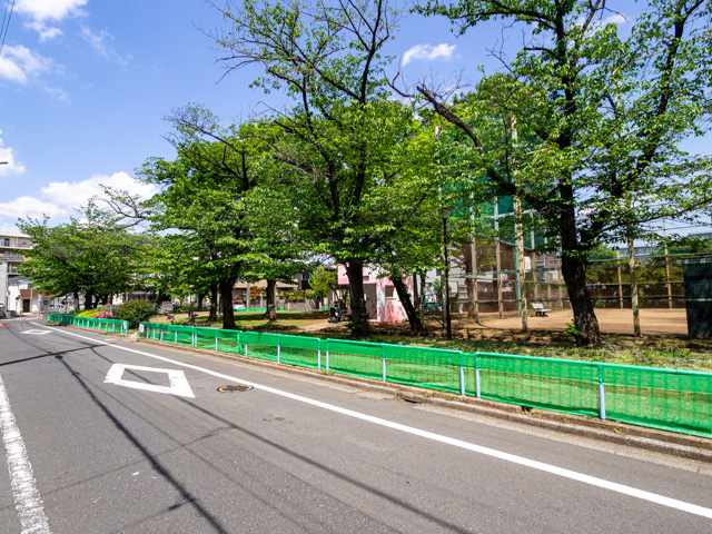 画像を別ウィンドウで表示します 画像