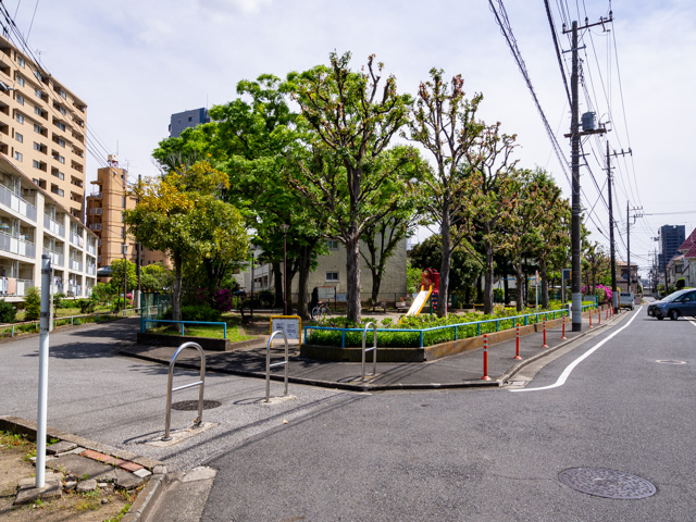 画像を別ウィンドウで表示します 画像
