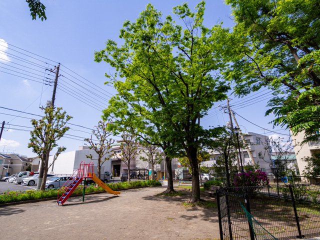 画像を別ウィンドウで表示します 画像