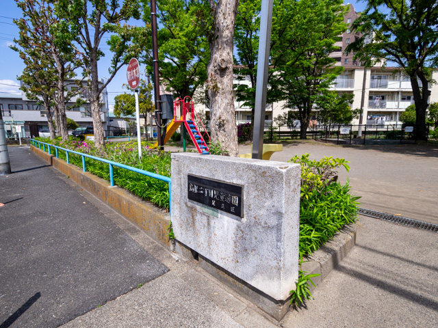 画像を別ウィンドウで表示します 画像