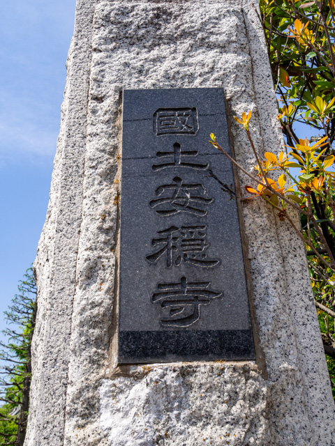 画像を別ウィンドウで表示します 画像