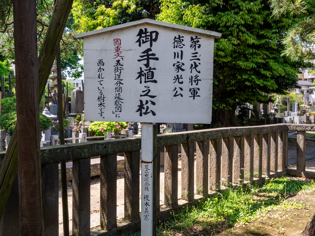 画像を別ウィンドウで表示します 画像