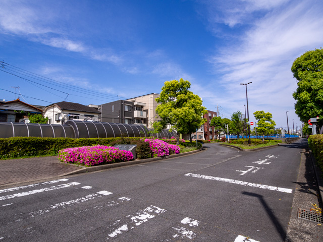 画像を別ウィンドウで表示します 画像