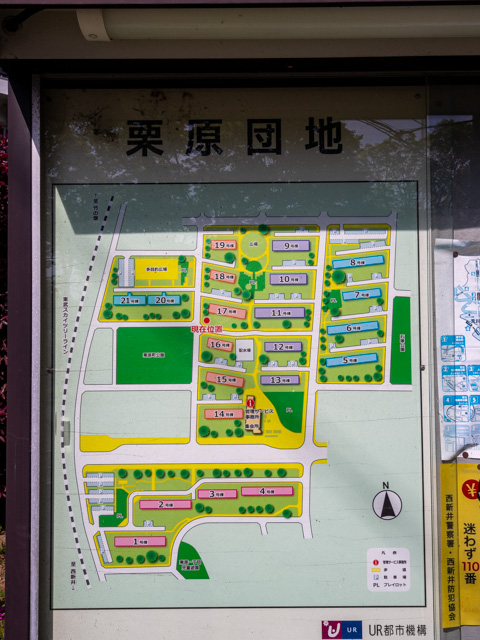 画像を別ウィンドウで表示します 画像