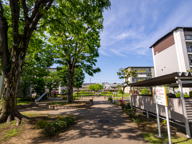 画像を別ウィンドウで表示します 画像