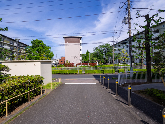 画像を別ウィンドウで表示します 画像
