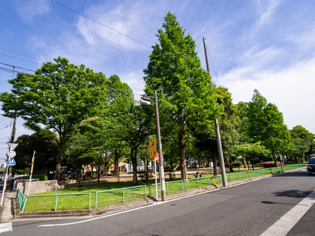 画像を別ウィンドウで表示します 画像