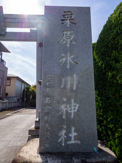 画像を別ウィンドウで表示します 画像