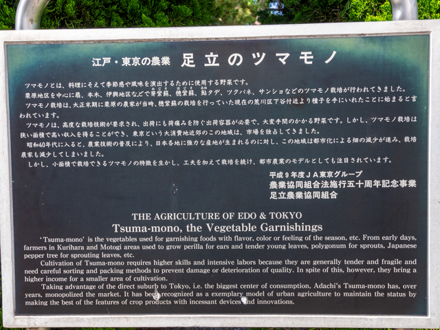 画像を別ウィンドウで表示します 画像