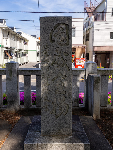 画像を別ウィンドウで表示します 画像