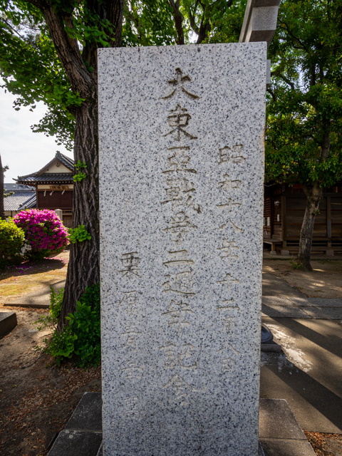 画像を別ウィンドウで表示します 画像