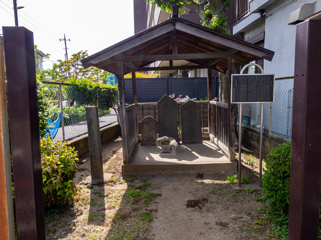 画像を別ウィンドウで表示します 画像