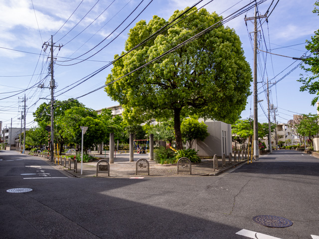 画像を別ウィンドウで表示します 画像