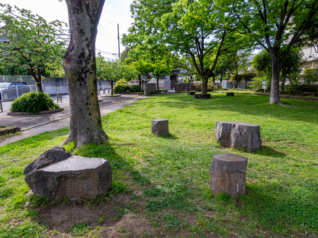 画像を別ウィンドウで表示します 画像