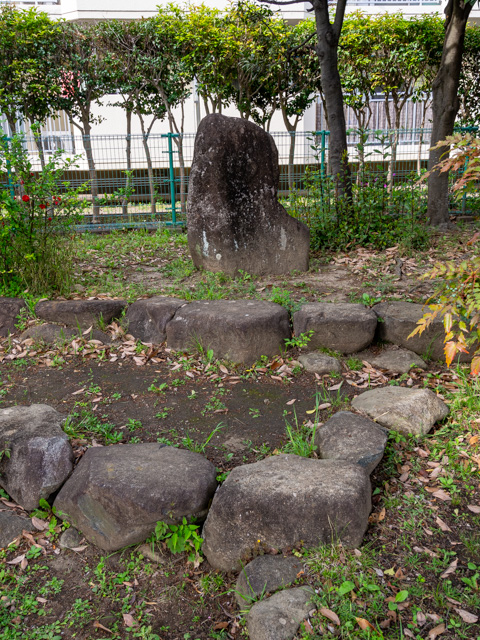 画像を別ウィンドウで表示します 画像