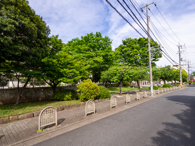 画像を別ウィンドウで表示します 画像