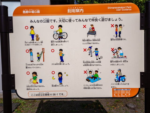画像を別ウィンドウで表示します 画像