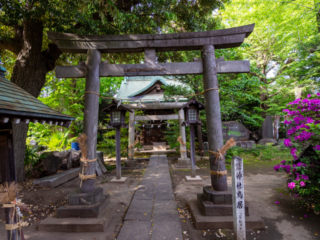 画像