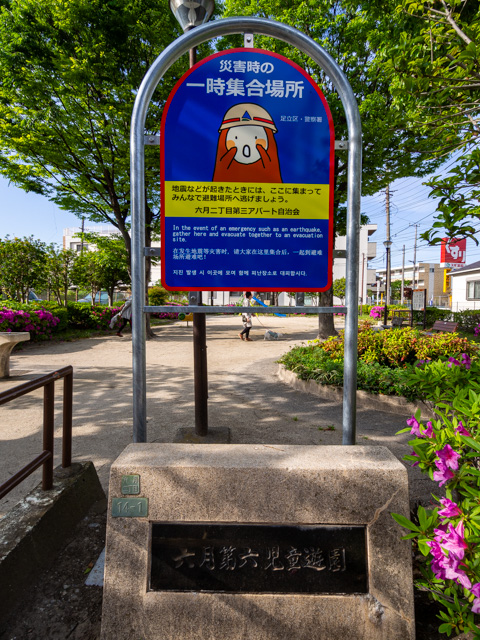 画像を別ウィンドウで表示します 画像