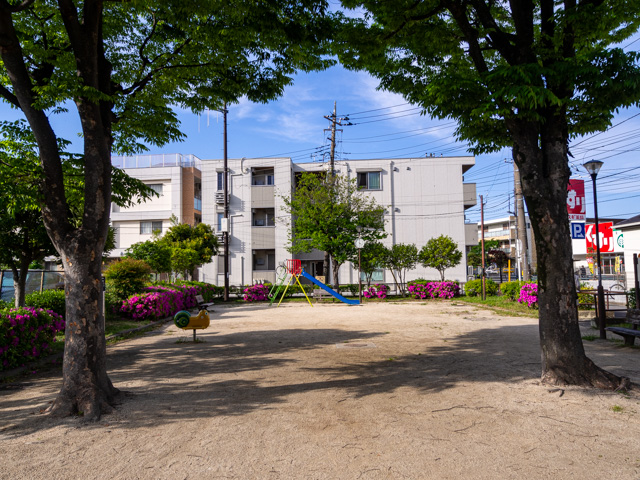 画像を別ウィンドウで表示します 画像