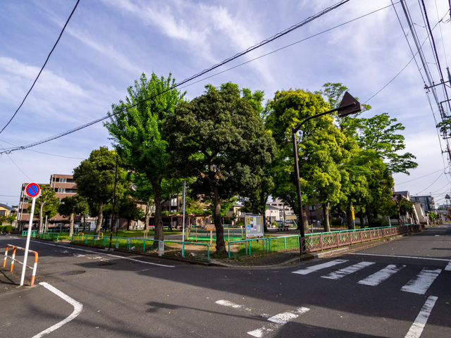 画像を別ウィンドウで表示します 画像