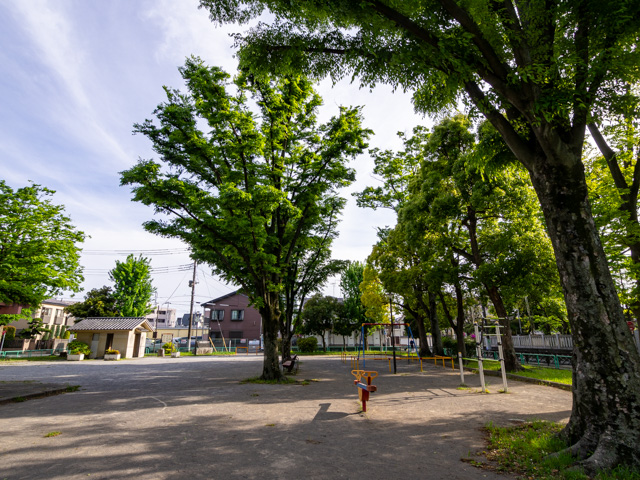 画像を別ウィンドウで表示します 画像