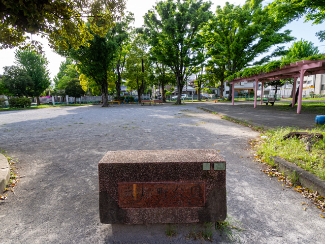 画像を別ウィンドウで表示します 画像