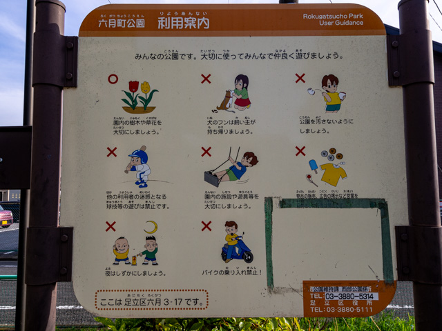画像を別ウィンドウで表示します 画像