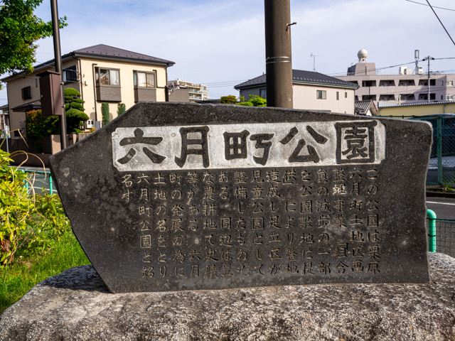 画像を別ウィンドウで表示します 画像
