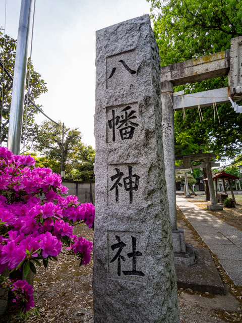 画像を別ウィンドウで表示します 画像