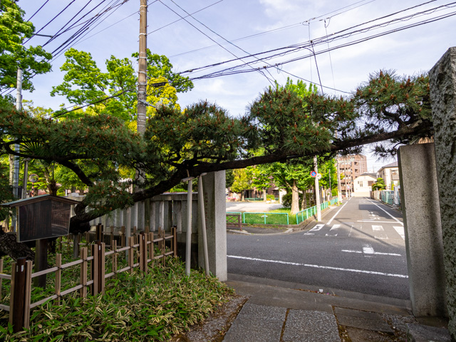 画像を別ウィンドウで表示します 画像