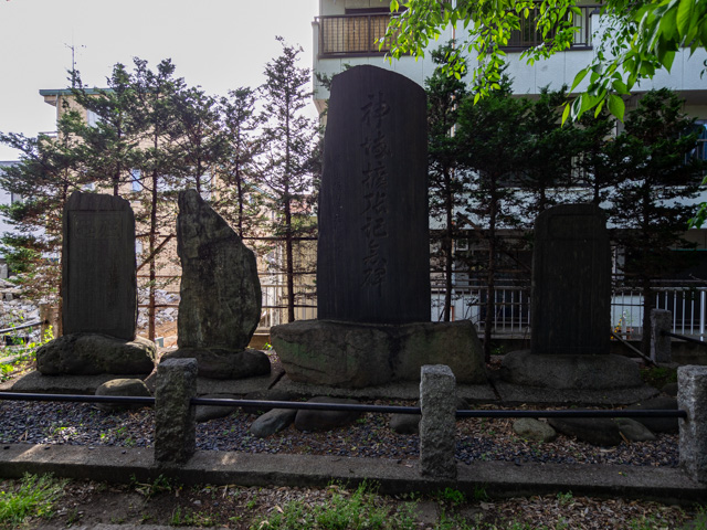 画像を別ウィンドウで表示します 画像