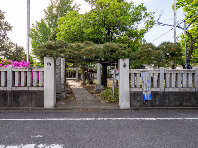 画像を別ウィンドウで表示します 画像