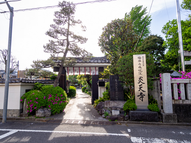 画像を別ウィンドウで表示します 画像