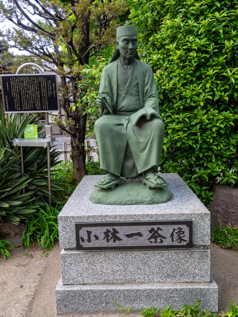 画像を別ウィンドウで表示します 画像