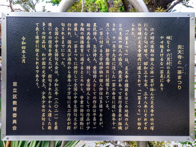 画像を別ウィンドウで表示します 画像