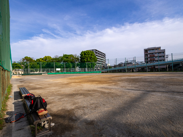 画像を別ウィンドウで表示します 画像