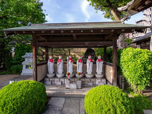 画像を別ウィンドウで表示します 画像