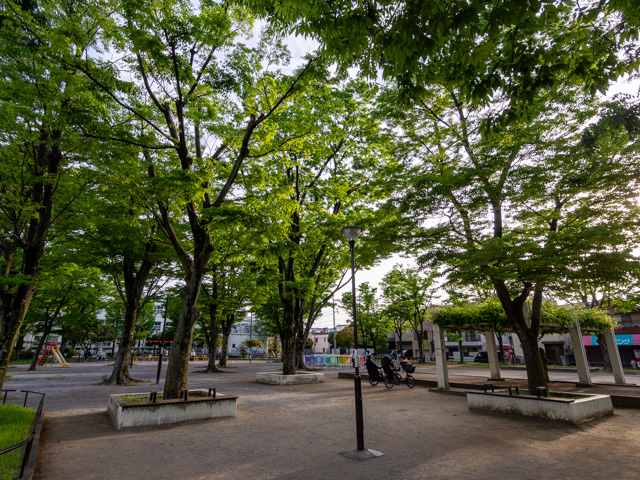 画像を別ウィンドウで表示します 画像