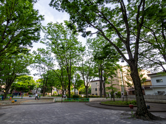 画像を別ウィンドウで表示します 画像