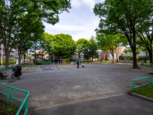 画像を別ウィンドウで表示します 画像