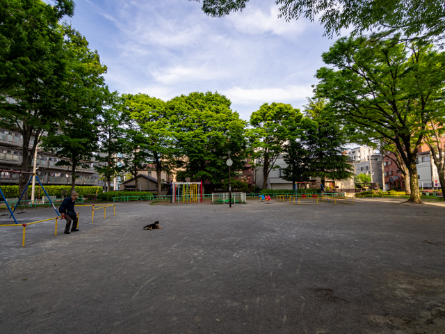 画像を別ウィンドウで表示します 画像