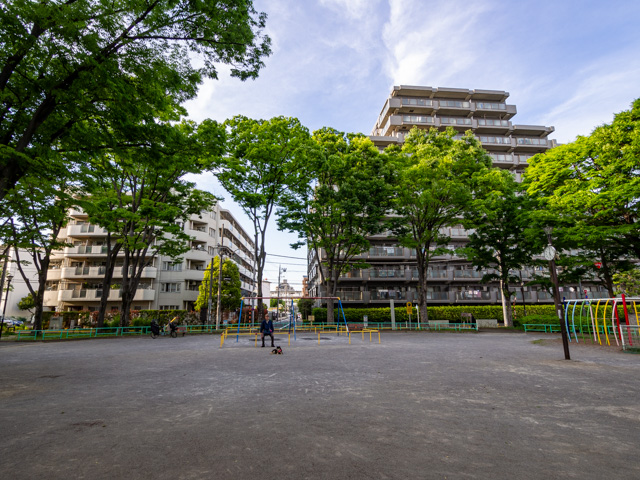 画像を別ウィンドウで表示します 画像