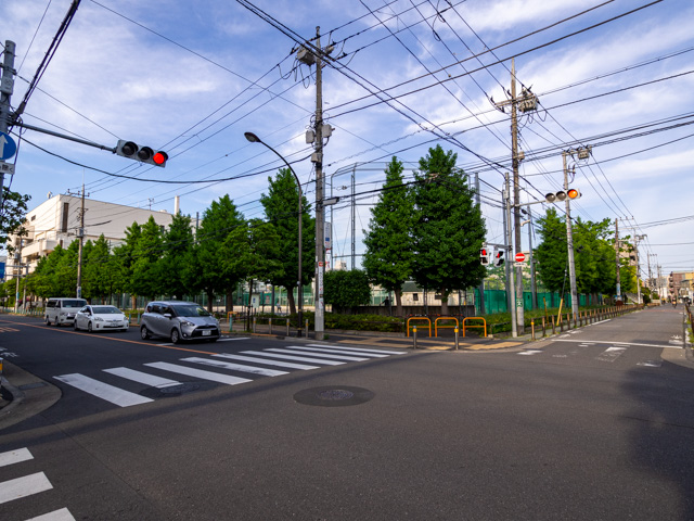 画像を別ウィンドウで表示します 画像