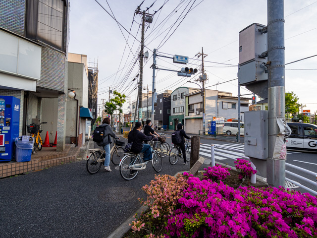 画像を別ウィンドウで表示します 画像