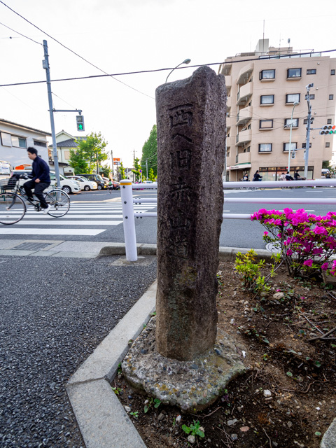 画像を別ウィンドウで表示します 画像