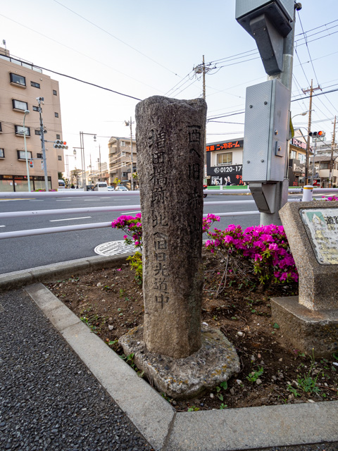 画像を別ウィンドウで表示します 画像