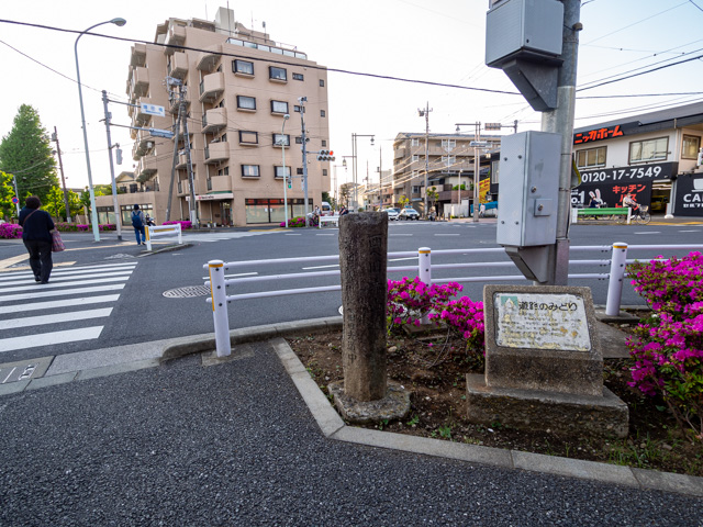 画像を別ウィンドウで表示します 画像